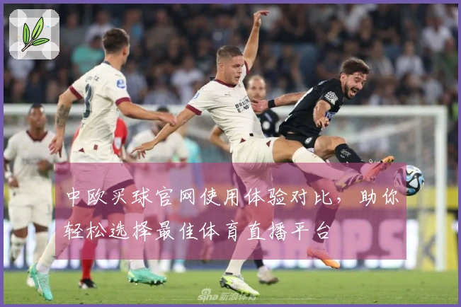 中欧买球官网使用体验对比，助你轻松选择最佳体育直播平台