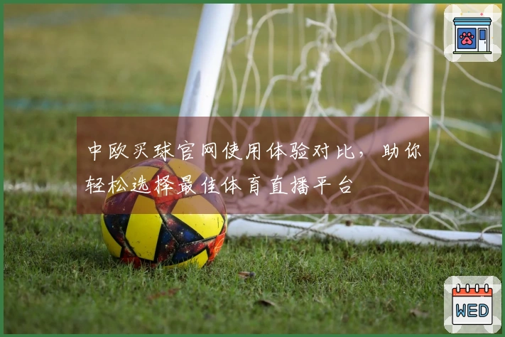 中欧买球官网使用体验对比，助你轻松选择最佳体育直播平台
