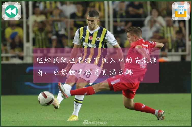 轻松获取世界杯下注入口的安装指南，让你畅享体育直播乐趣