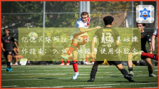 亿德买球网址平台体育直播基础操作指南：入口、功能与使用体验全方位介绍