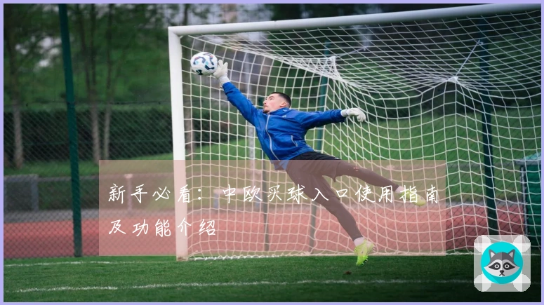 新手必看：中欧买球入口使用指南及功能介绍
