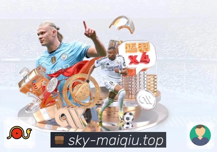 买球站 精彩赛事