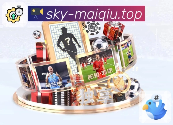 买球站 Sports 官方视觉图